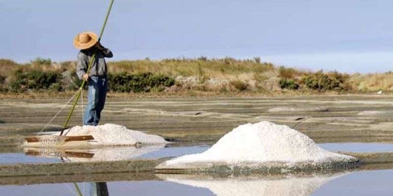 Marais salants de Guérande